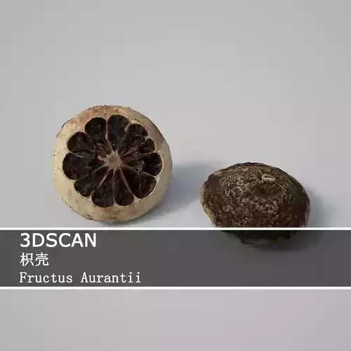 3DSCAN-Traditional Chinese Medicine-Fructus Aurantii Low-poly 3D model