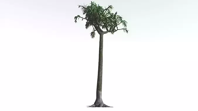 EVERYPlant Lepidodendron Scale Tree LowPoly 4 --12 Models-- Low-poly 3D model