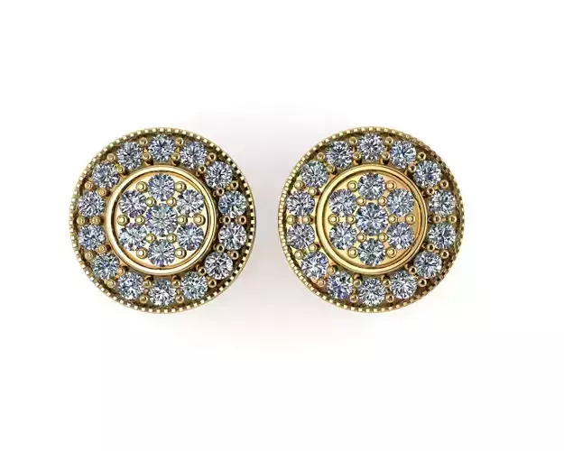 Round  earrings 