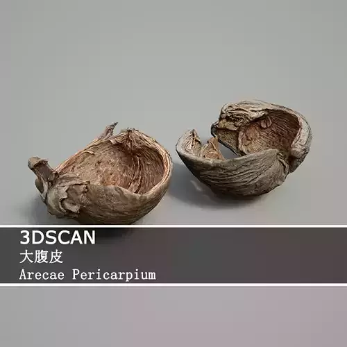 3DSCAN-Traditional Chinese Medicine-Arecae Pericarpium Low-poly 3D model