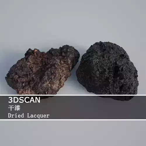 3DSCAN-Traditional Chinese Medicine-Dried Lacquer Low-poly 3D model
