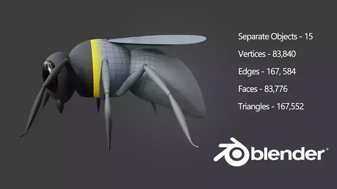 Honey Bee 3D Cartoon Animal