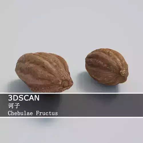 3DSCAN-Traditional Chinese Medicine-Chebulae Fructus Low-poly 3D model