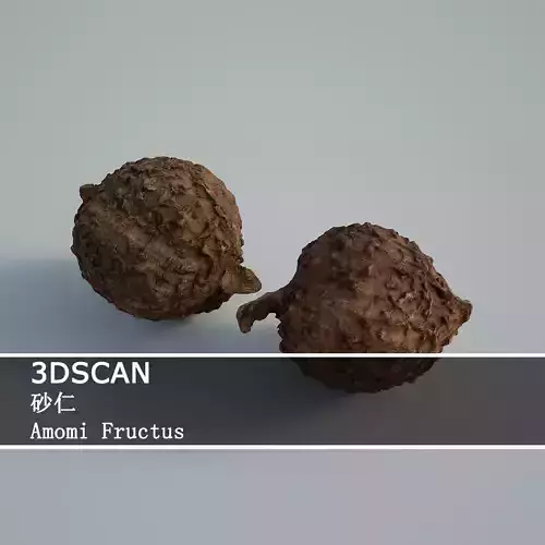 3DSCAN-Traditional Chinese Medicine-Amomi Fructus Low-poly 3D model