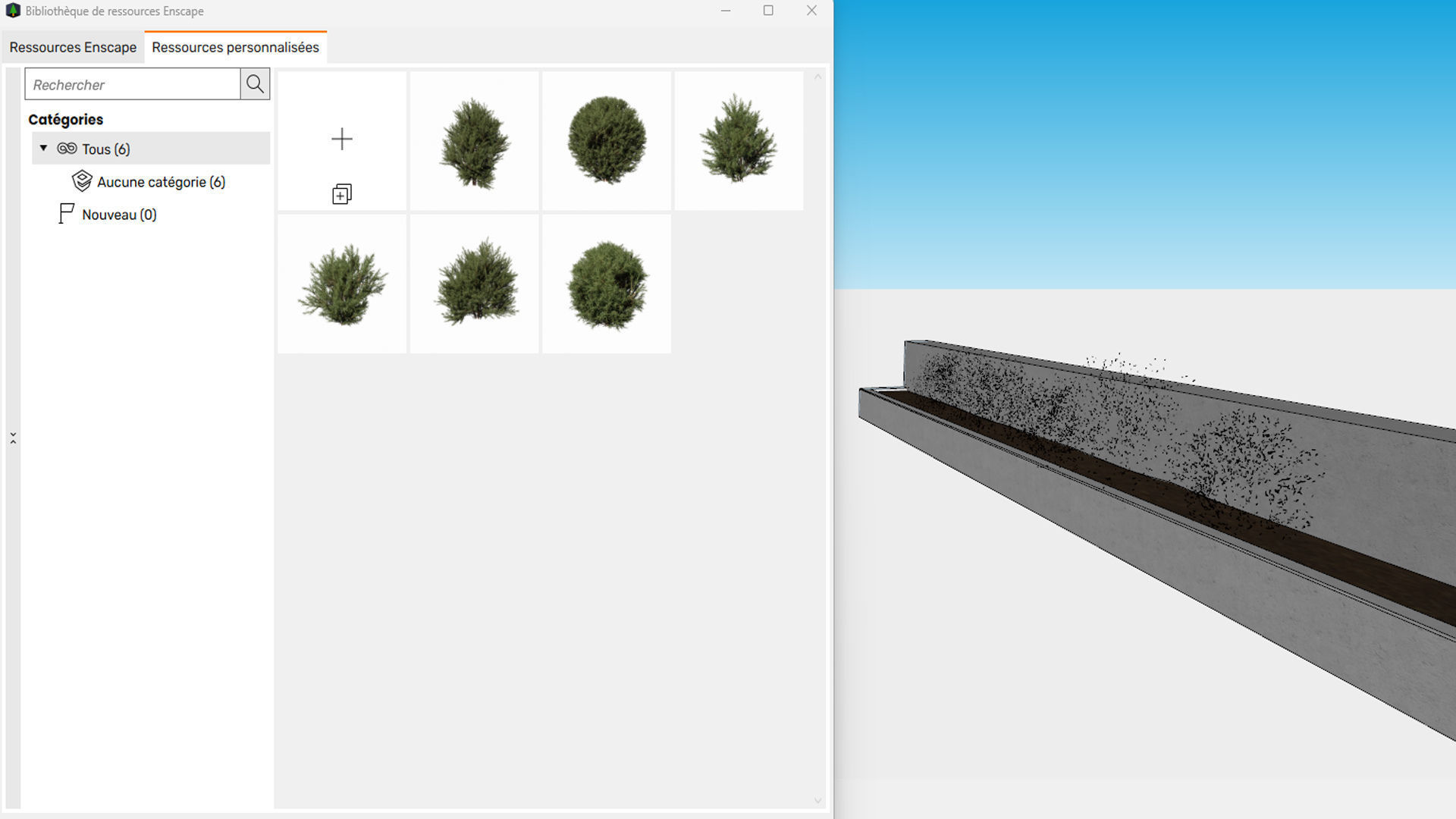 Platycladus orientalis 3D model - Enscape asset 3D model_3
