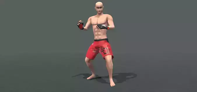 MMA Fight Animations  Low-poly 3D model