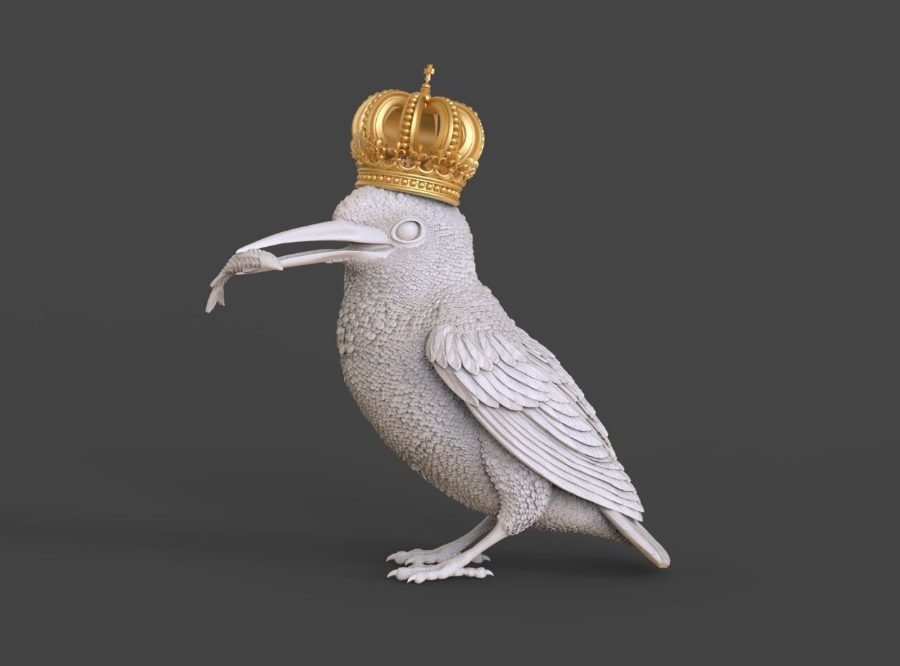Kingfisher bird  3D print model_26