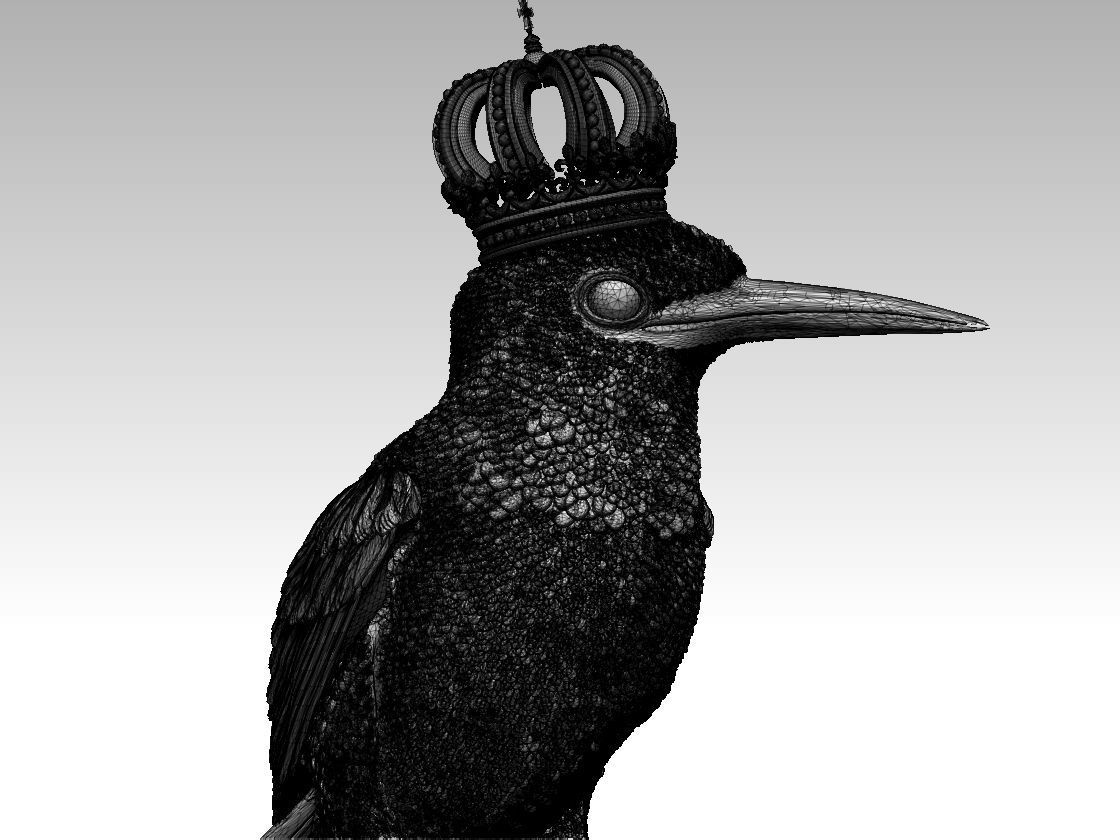 Kingfisher bird  3D print model_15