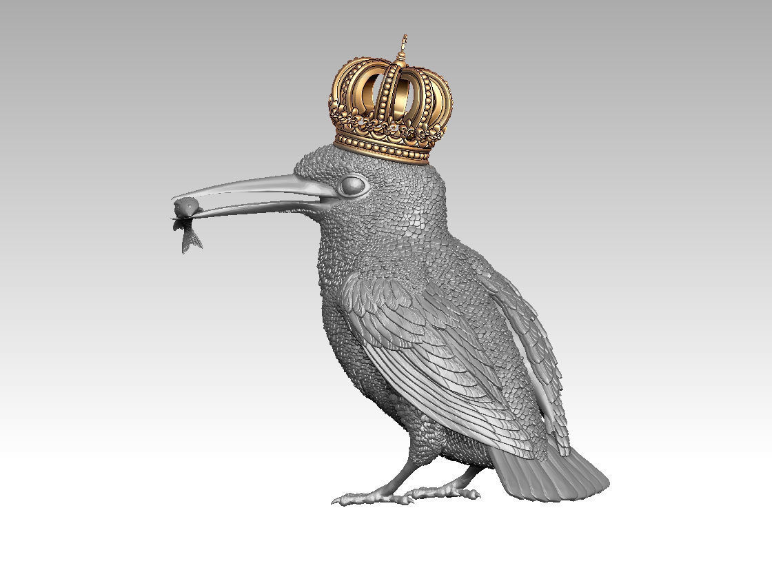Kingfisher bird  3D print model_12