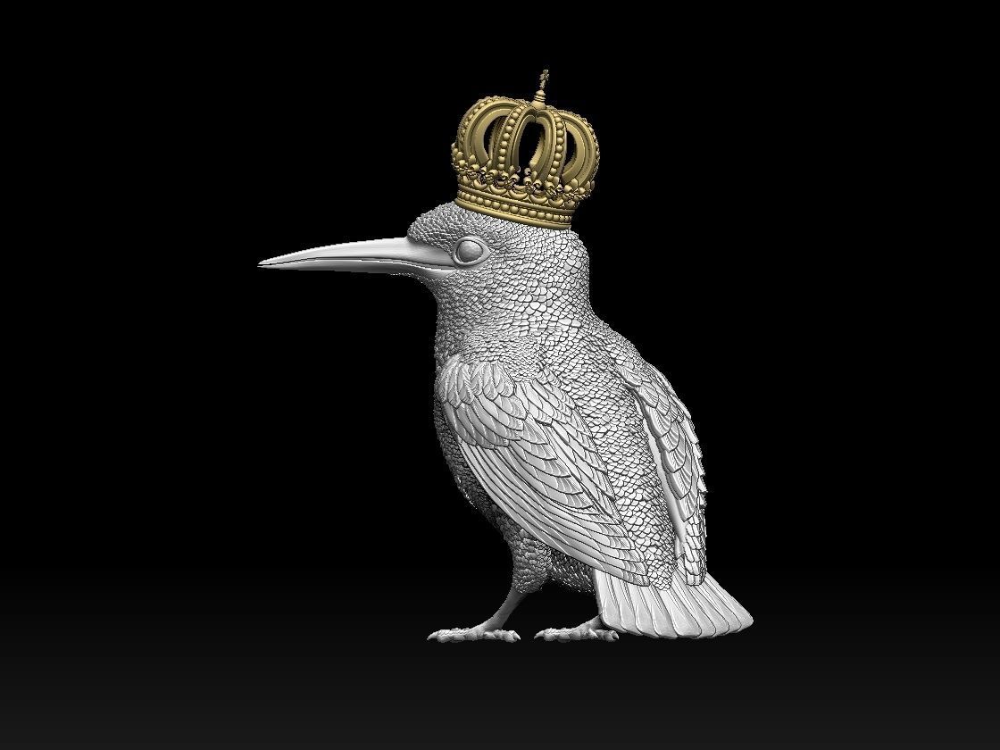 Kingfisher bird  3D print model_21