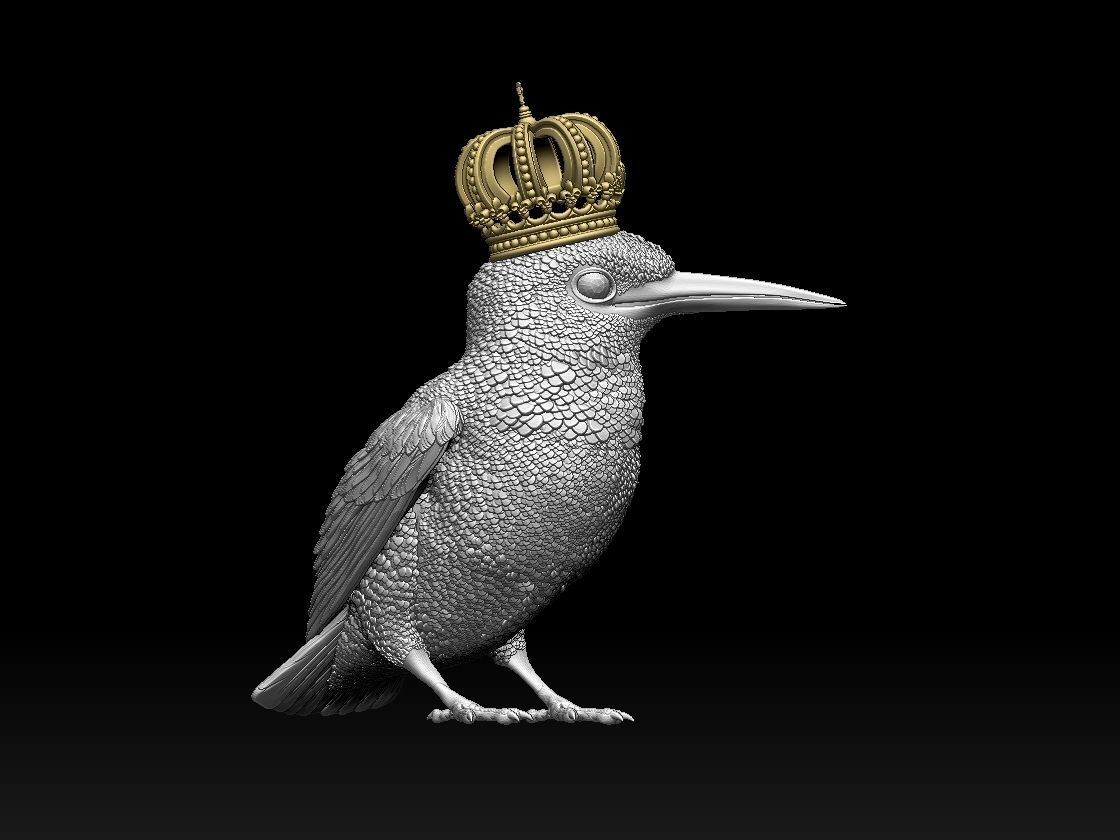 Kingfisher bird  3D print model_6