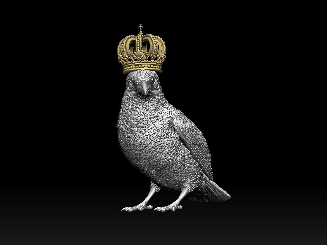 Kingfisher bird  3D print model_10