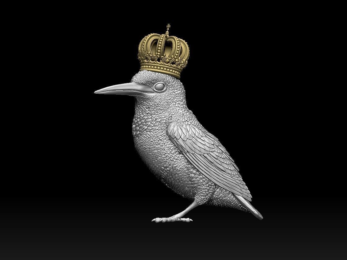 Kingfisher bird  3D print model_1
