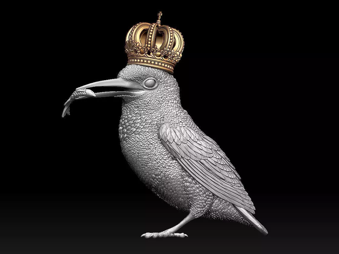 Kingfisher bird  3D print model_0