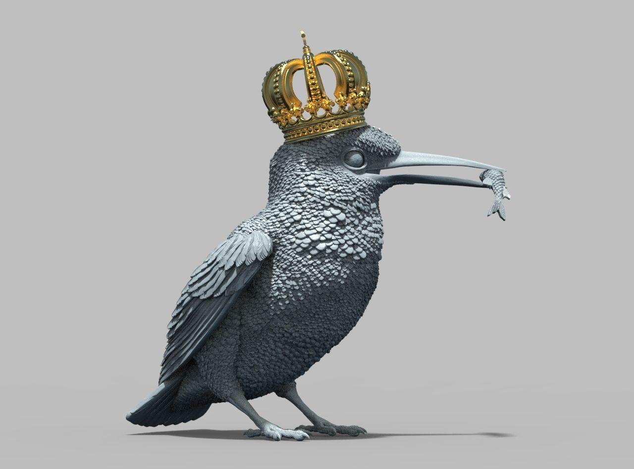 Kingfisher bird  3D print model_5