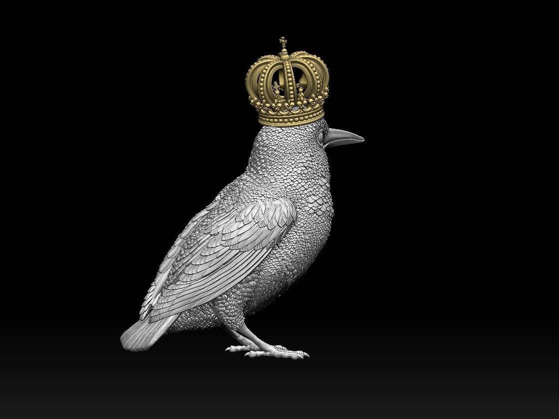 Kingfisher bird  3D print model_11
