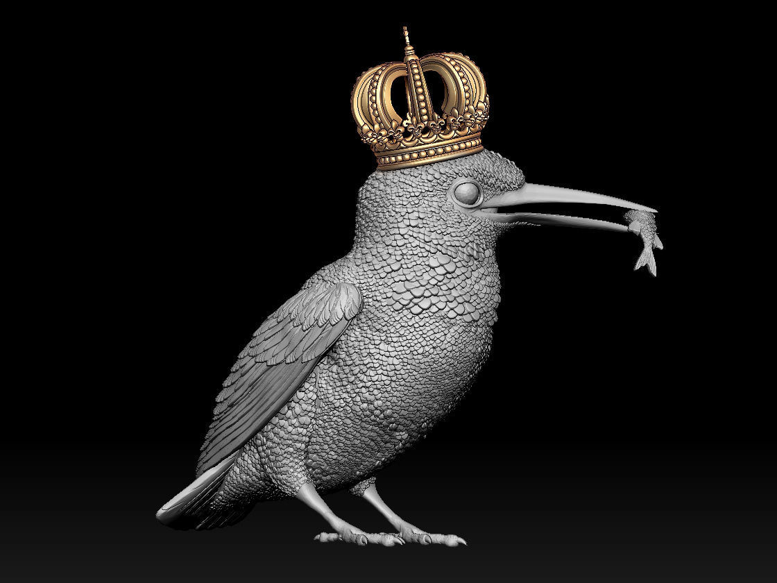 Kingfisher bird  3D print model_2