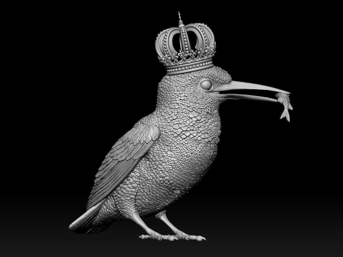 Kingfisher bird  3D print model_17
