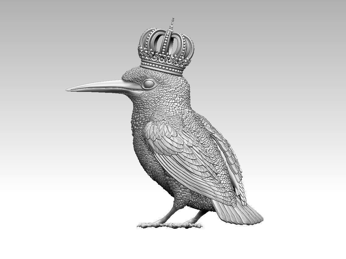 Kingfisher bird  3D print model_9