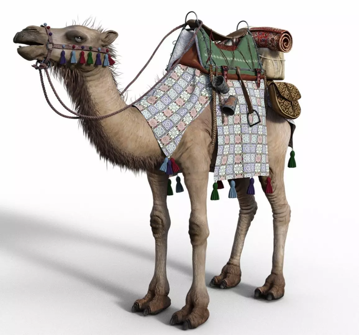 Camel With Package - Rigged 3D model_0