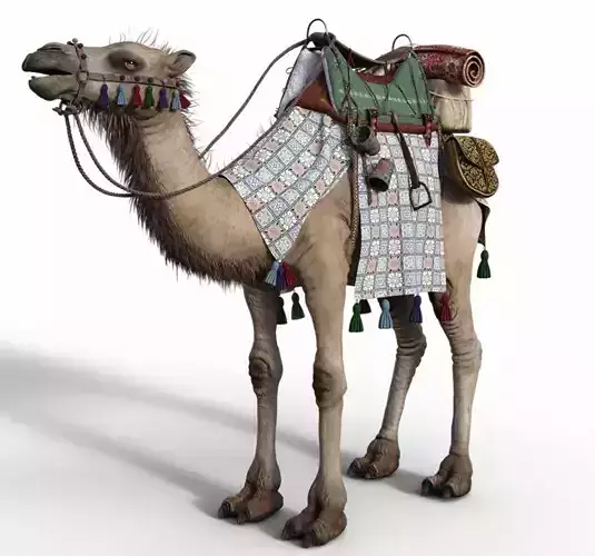 Camel With Package - Rigged 3D model