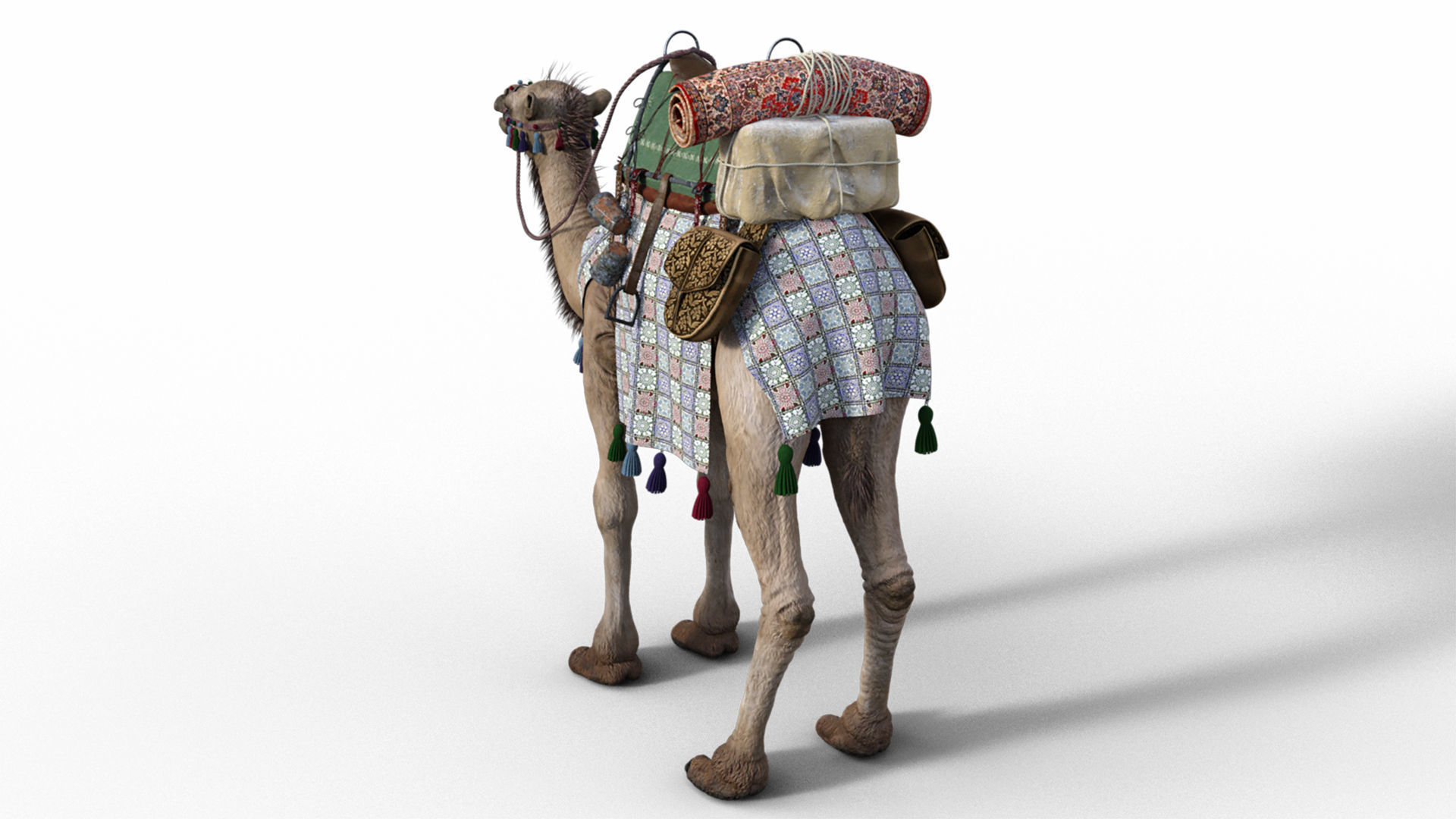 Camel With Package - Rigged 3D model_6