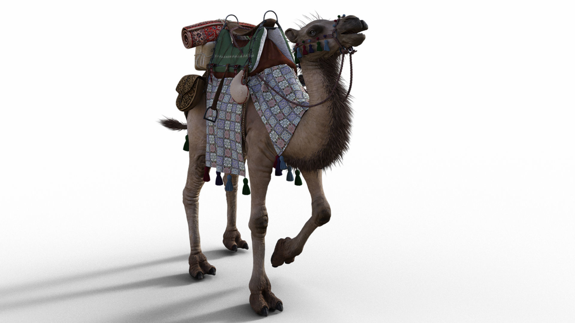 Camel With Package - Rigged 3D model_1
