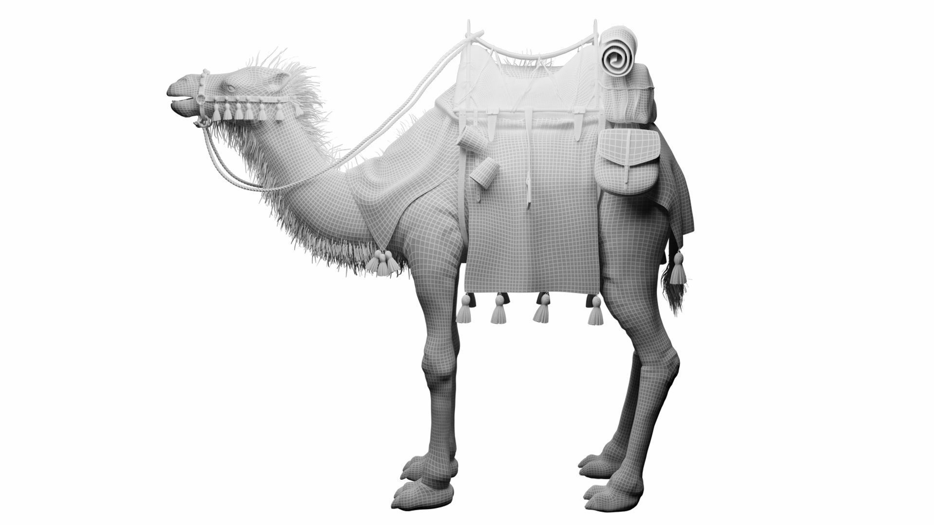 Camel With Package - Rigged 3D model_9