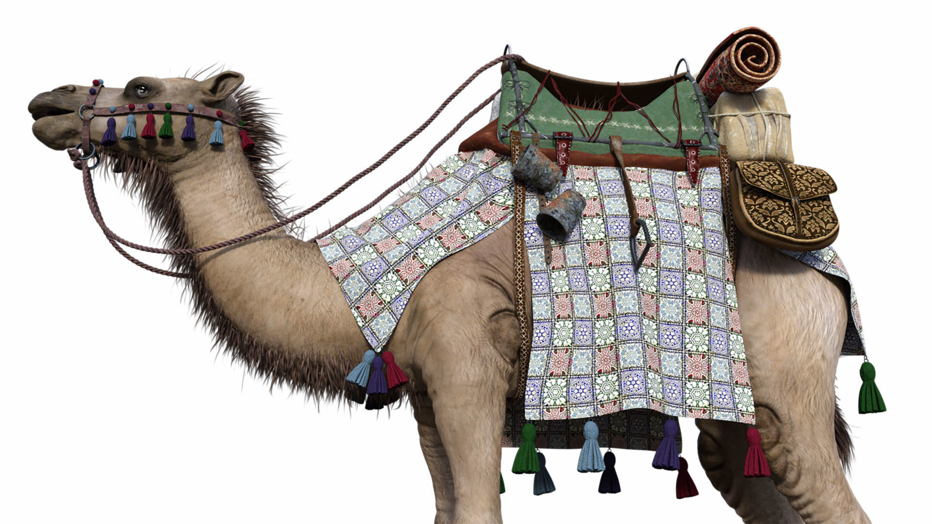 Camel With Package - Rigged 3D model_3