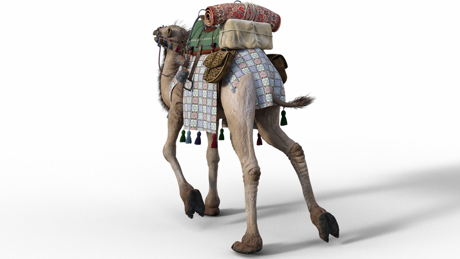 Camel With Package - Rigged 3D model_2