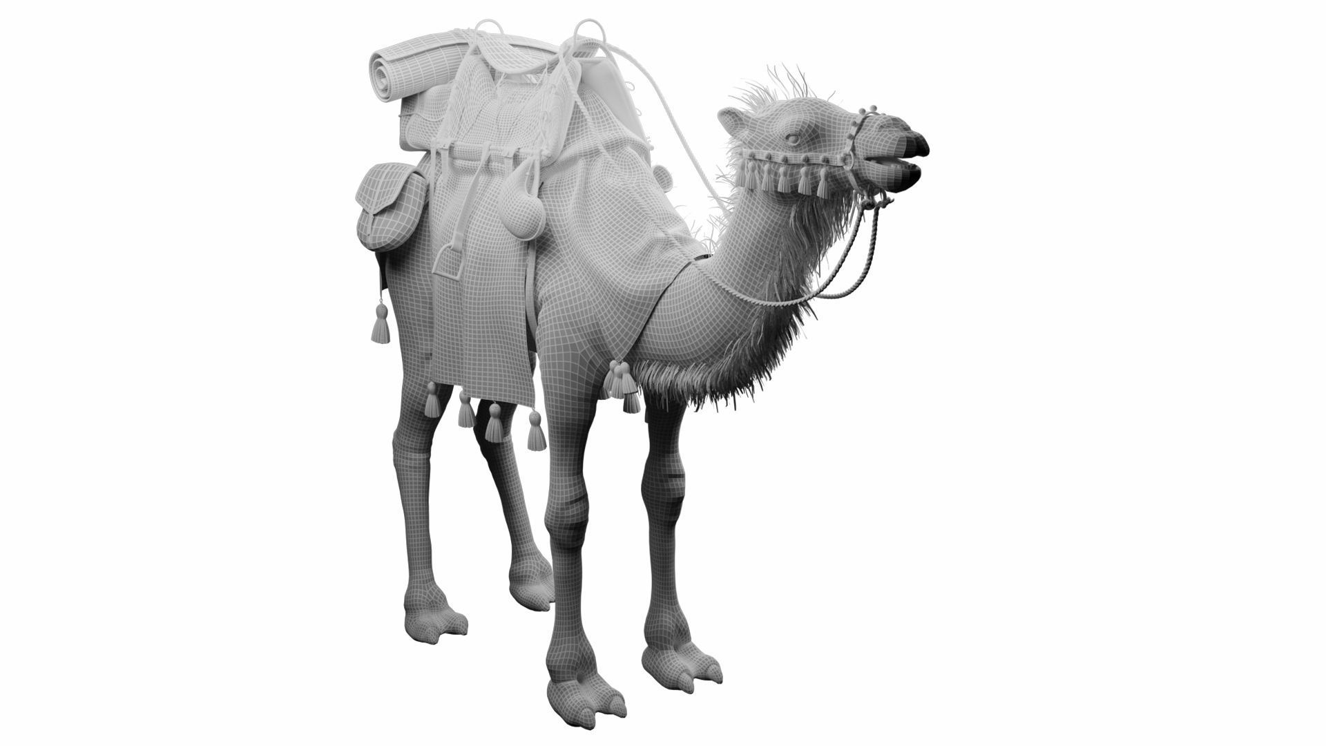 Camel With Package - Rigged 3D model_8