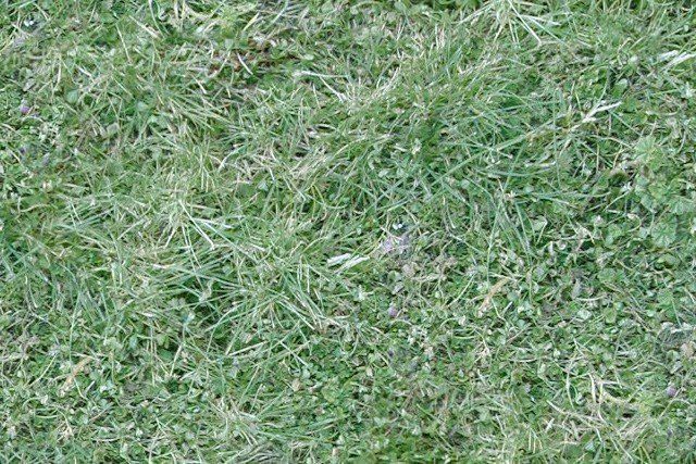 Space-frame 3D model_10