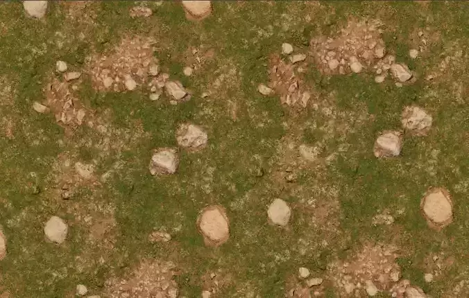 seamless grass texture Texture