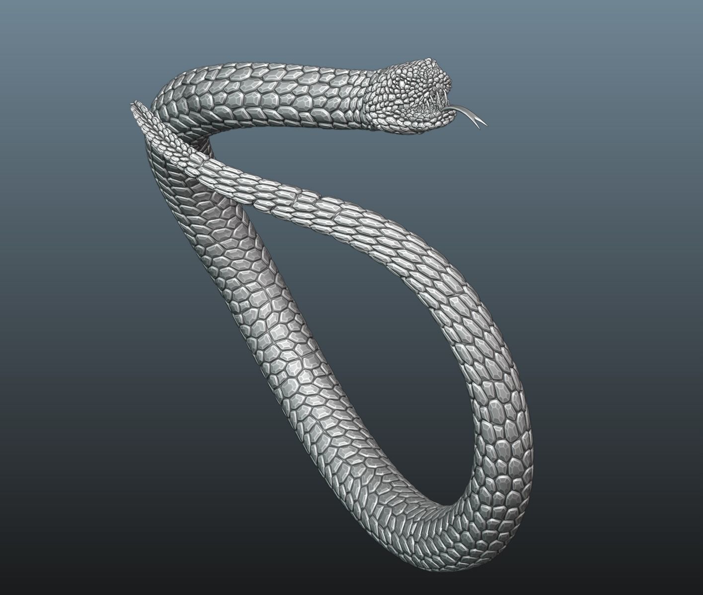 Snake Ring 3D print model_5