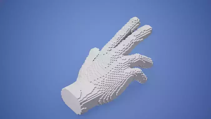 Hand Sculpture