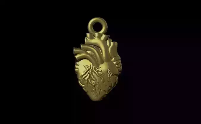 Human Heart pendant 3D print model