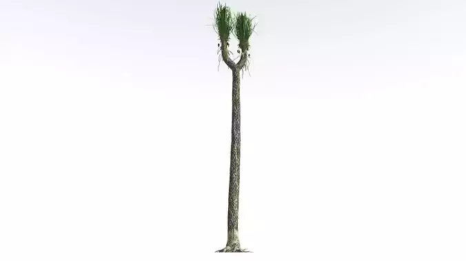 EVERYPlant Sigillaria 1 --12 Models-- 3D model