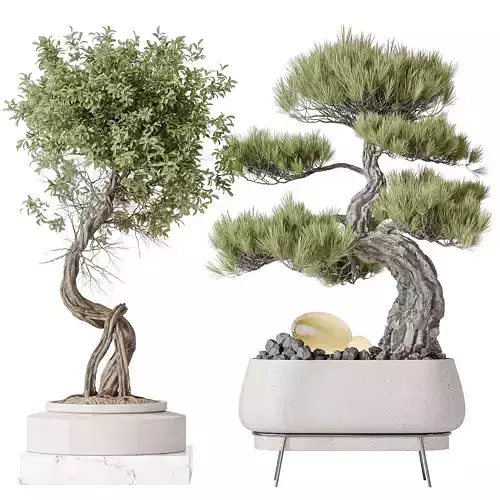 Indoor plant set 15 3D model