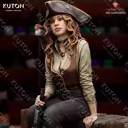 Captain Lyra 3D print model