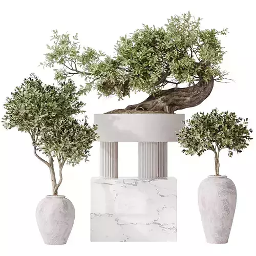 Indoor plant set 17 3D model