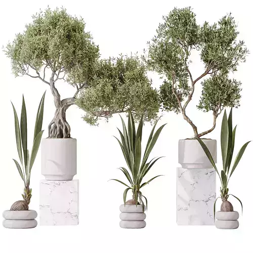 Indoor plant set 20 3D model
