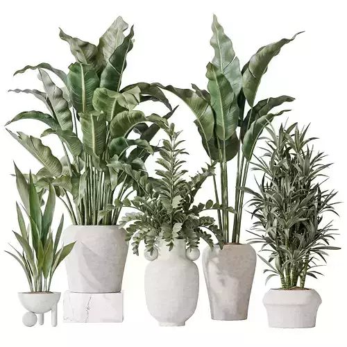 Indoor plant set 21