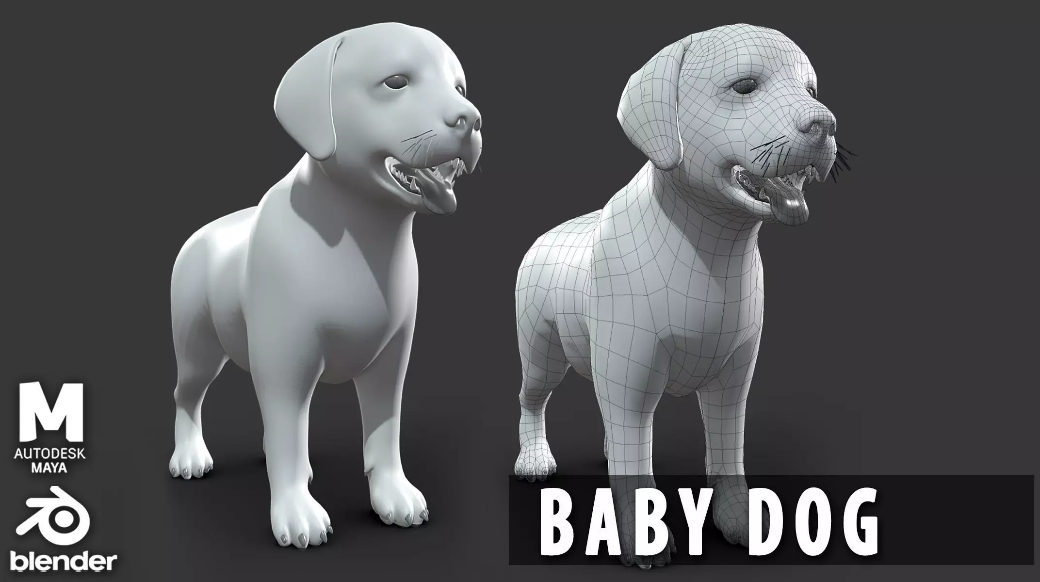 Baby Dog Basemesh Low-poly 3D model_0