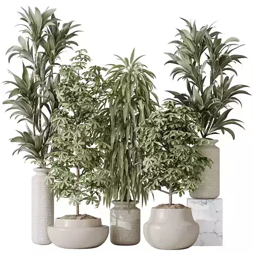 Indoor plant set 24