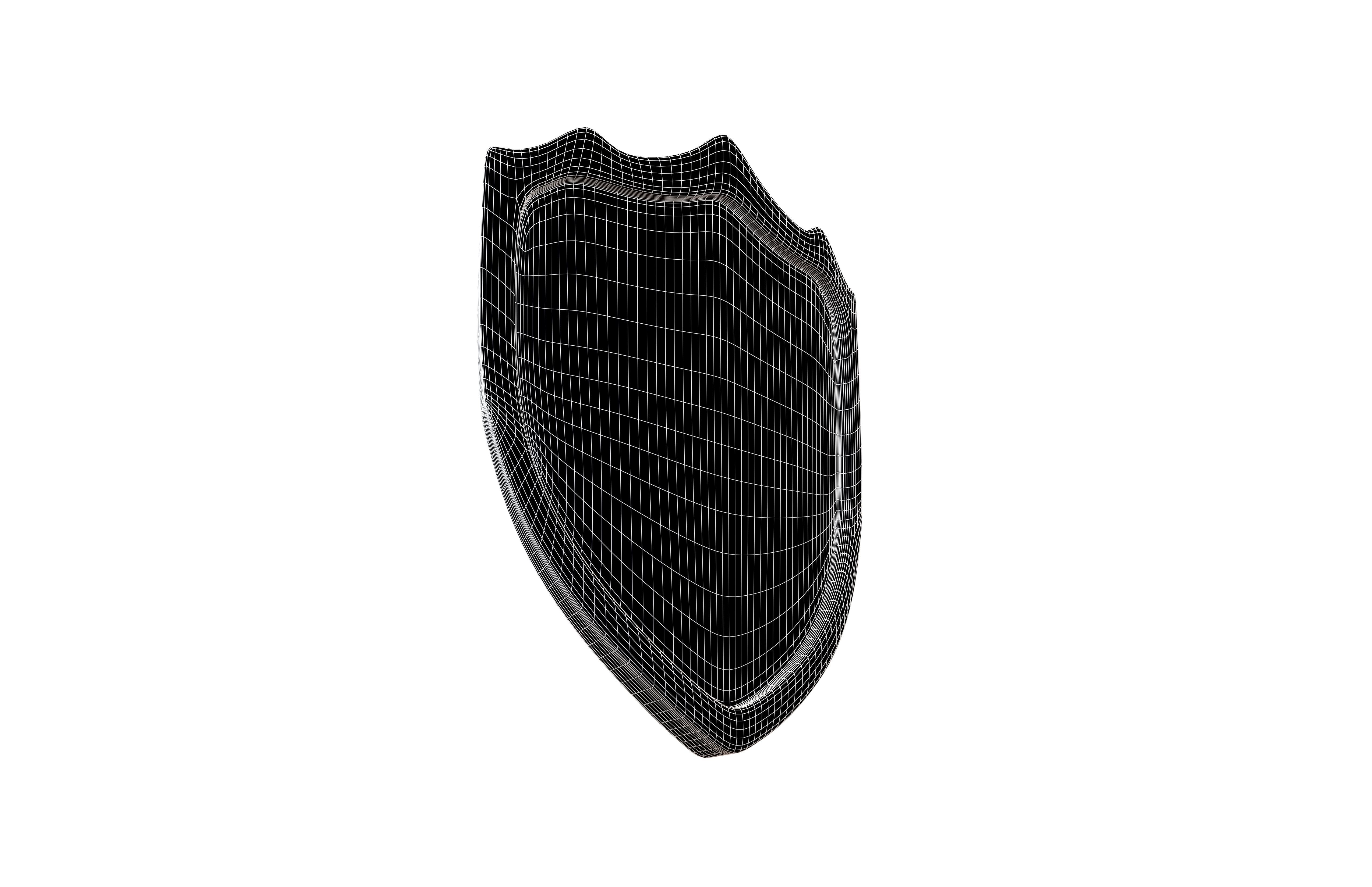 Tiger Shield v1 001 Low-poly 3D model_7