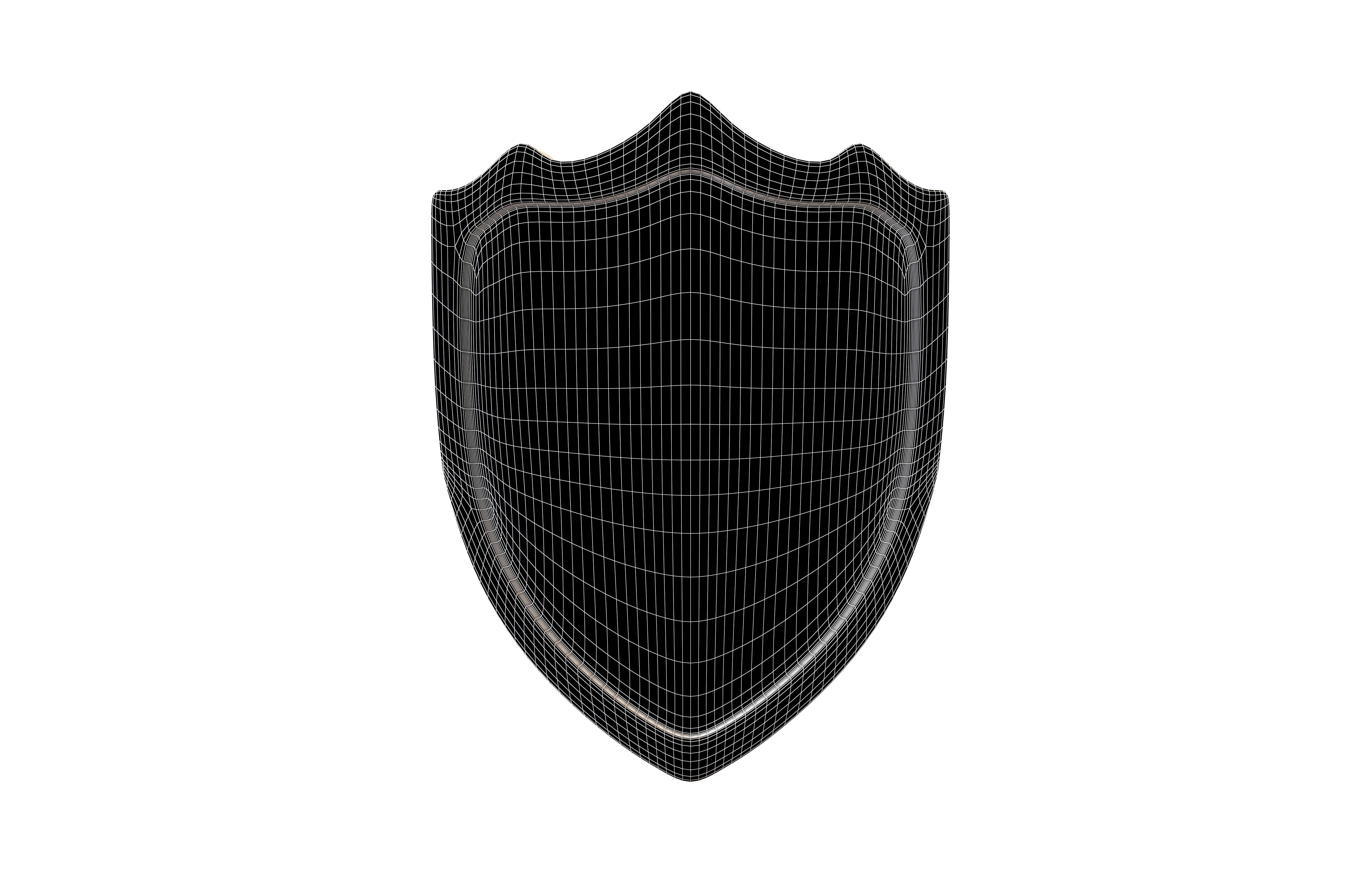 Tiger Shield v1 001 Low-poly 3D model_6