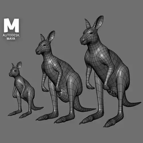 Kangaroo Family II BaseMesh
