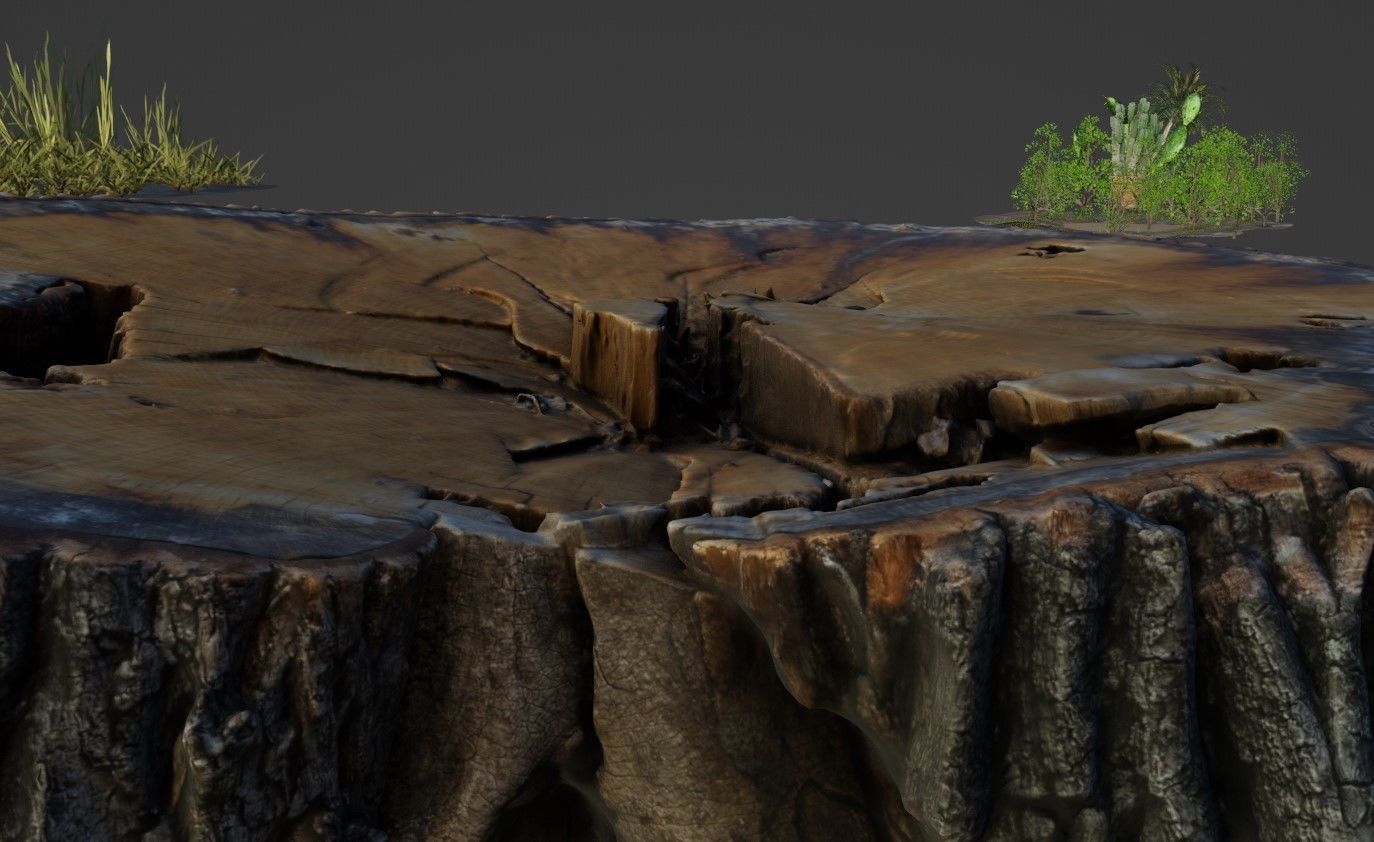 Nature and plants Free 3D model_7