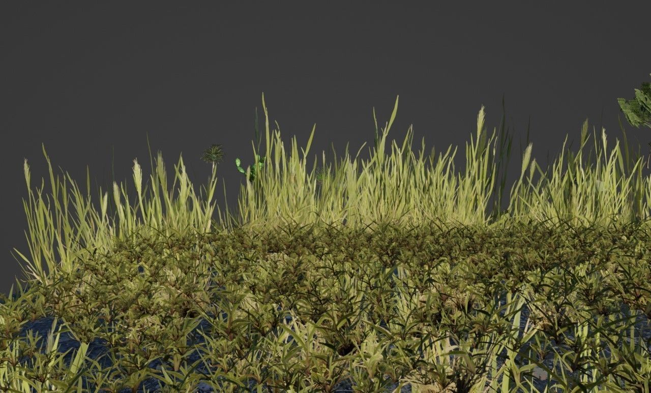 Nature and plants Free 3D model_5