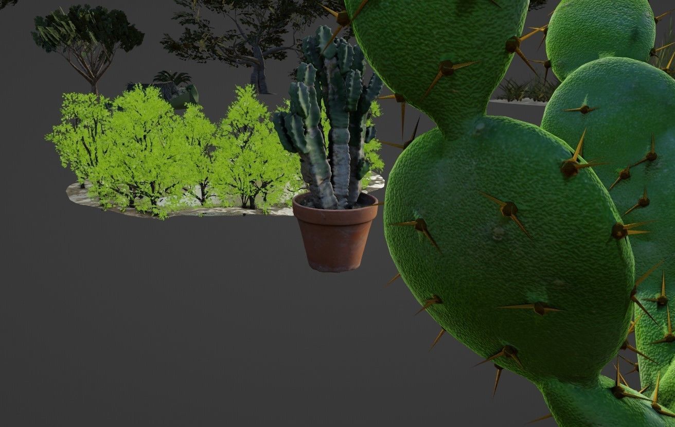 Nature and plants Free 3D model_4